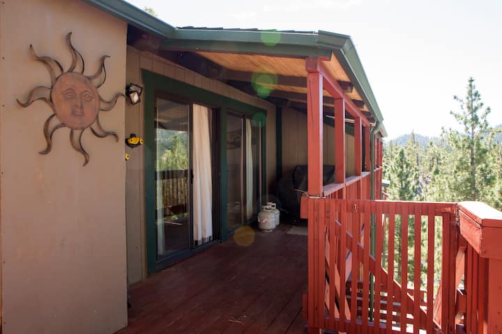 Rear deck with outdoor furniture screened by pine trees