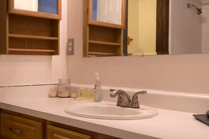 Master bedroom en-suite bathroom with a family-sized bath