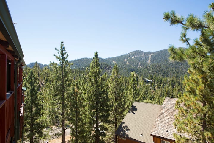 Lake Tahoe seen through the pines from the condo's deck
